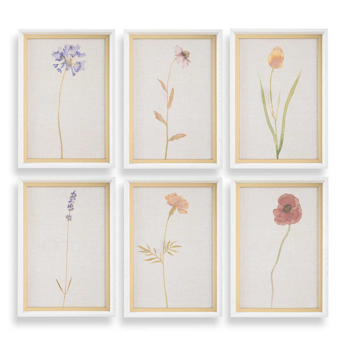 Wild Flourish - Framed Floral Prints (Set of 6) - Light Brown