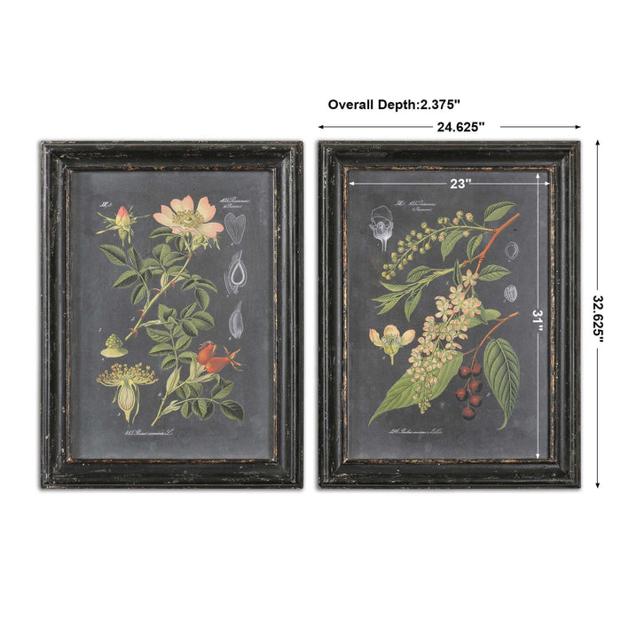 Midnight Botanicals - Wall Art (Set of 2) - Black