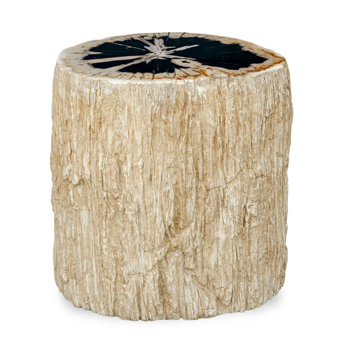 Arco - Petrified Wood Top Accent Table - Black / White
