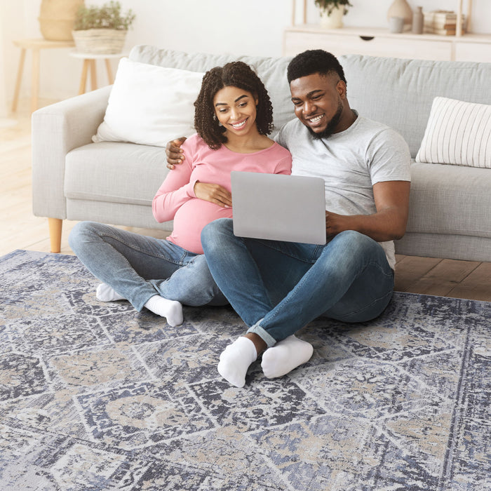 Payas - 6' X 9' Traditional Area Rug - Gray / Blue