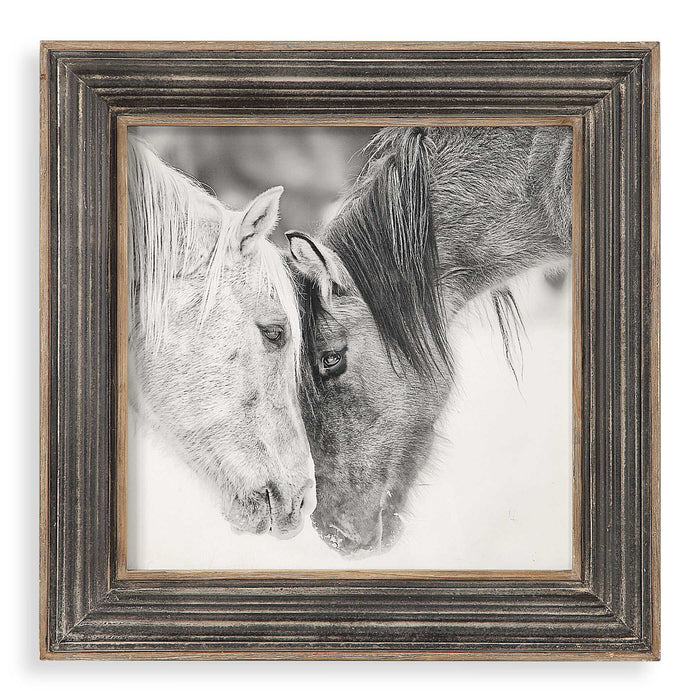 Custom Black And White Horses - Print - Dark Brown