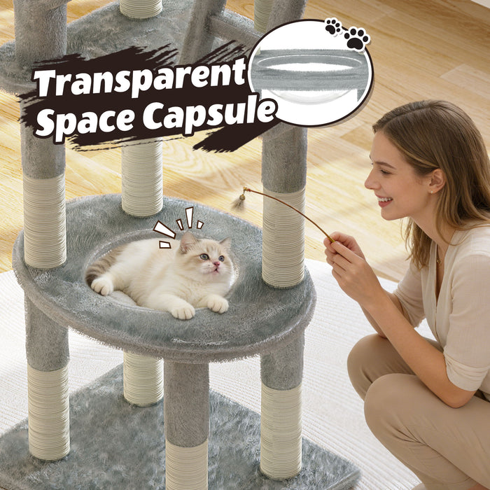 Cactus Cat Tree With Transparent Capsule