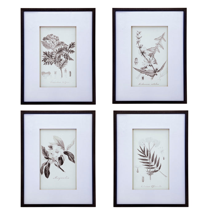 Botanical Wall Art Prints, Home Decor For Living Room Dining Room, Bedroom, Hallway (Set of 4) - White / Black