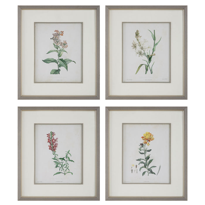Heirloom Blooms - Study Framed Prints (Set of 4) - Green