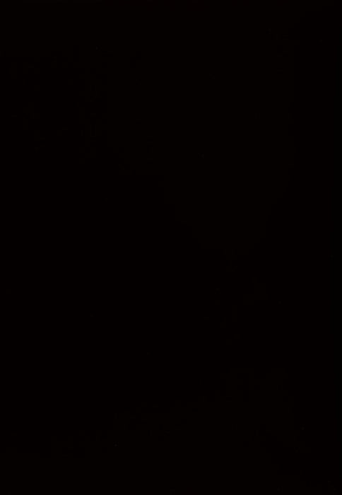 Ashley Express - Kimonte Rectangular Dining Room Table